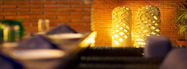 2441/Hotel Waterlily - Indore 12.jpg